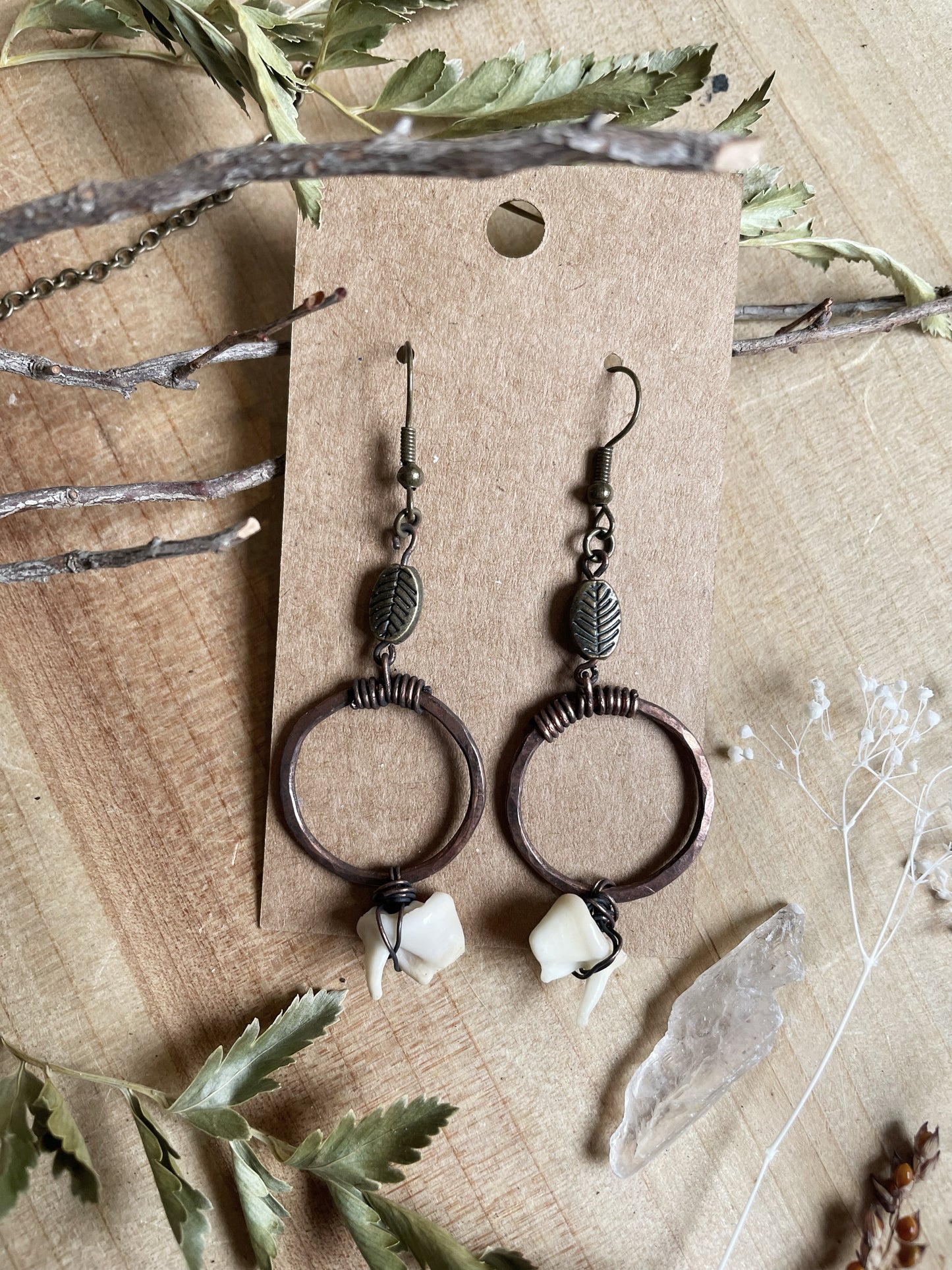 Coyote Molar Earrings