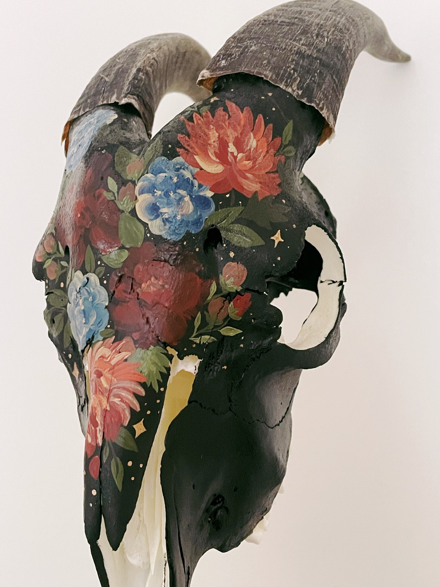 Midnight Bloom Goat Skull