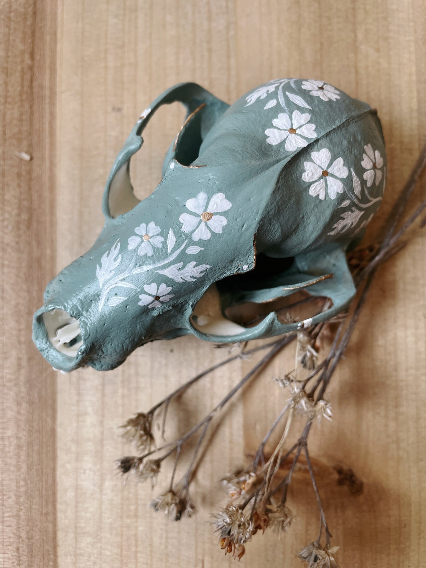 Cornflower Blue Raccoon Skull
