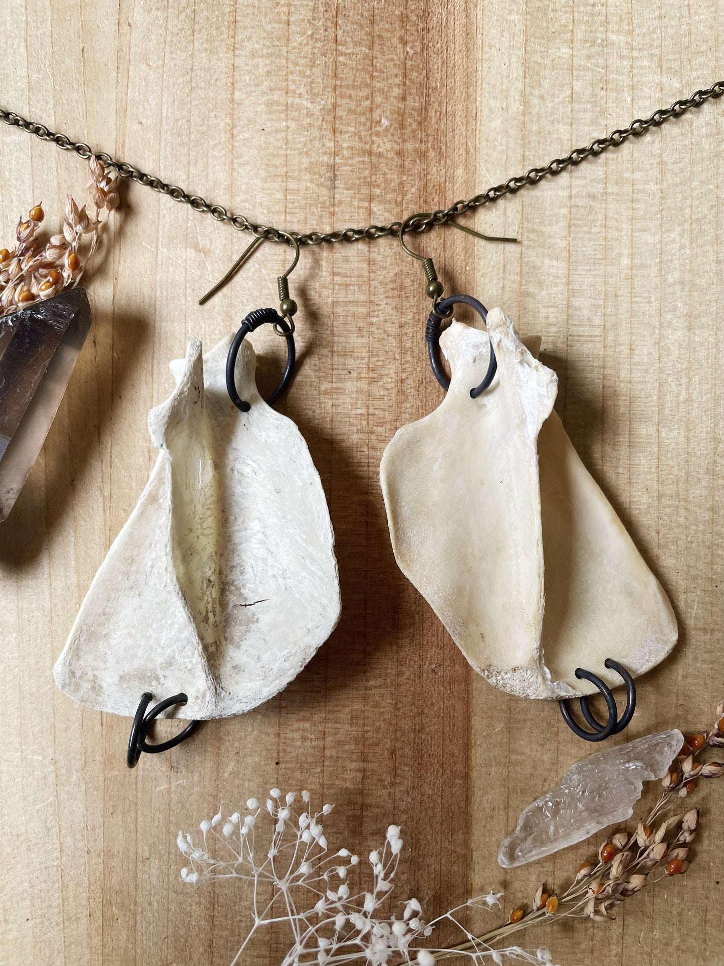 Scapula & Copper Earrings