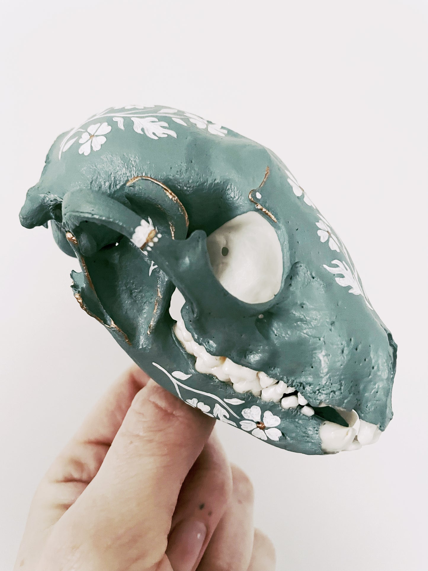 Cornflower Blue Raccoon Skull