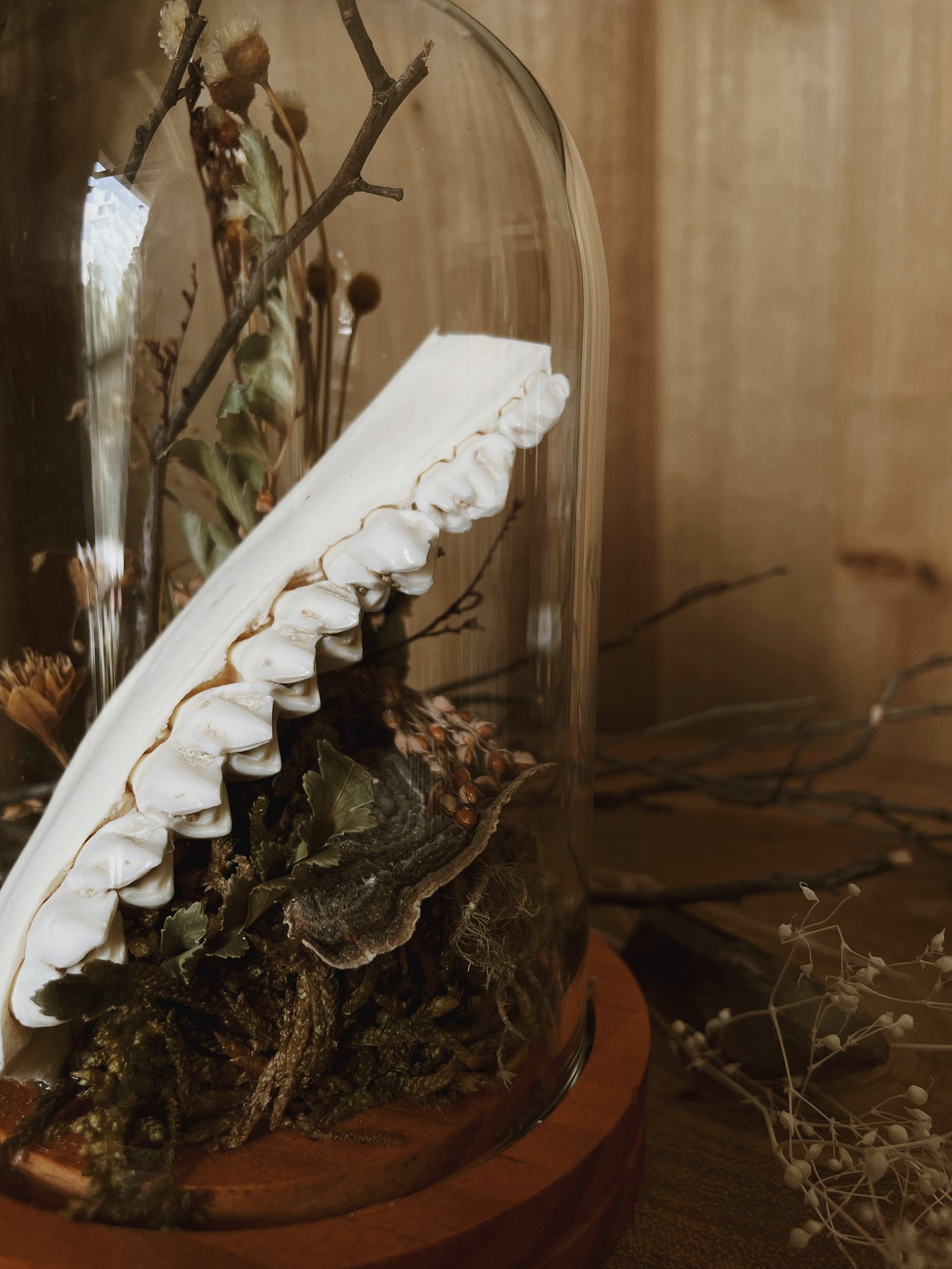 Jaw & Florals Cloche