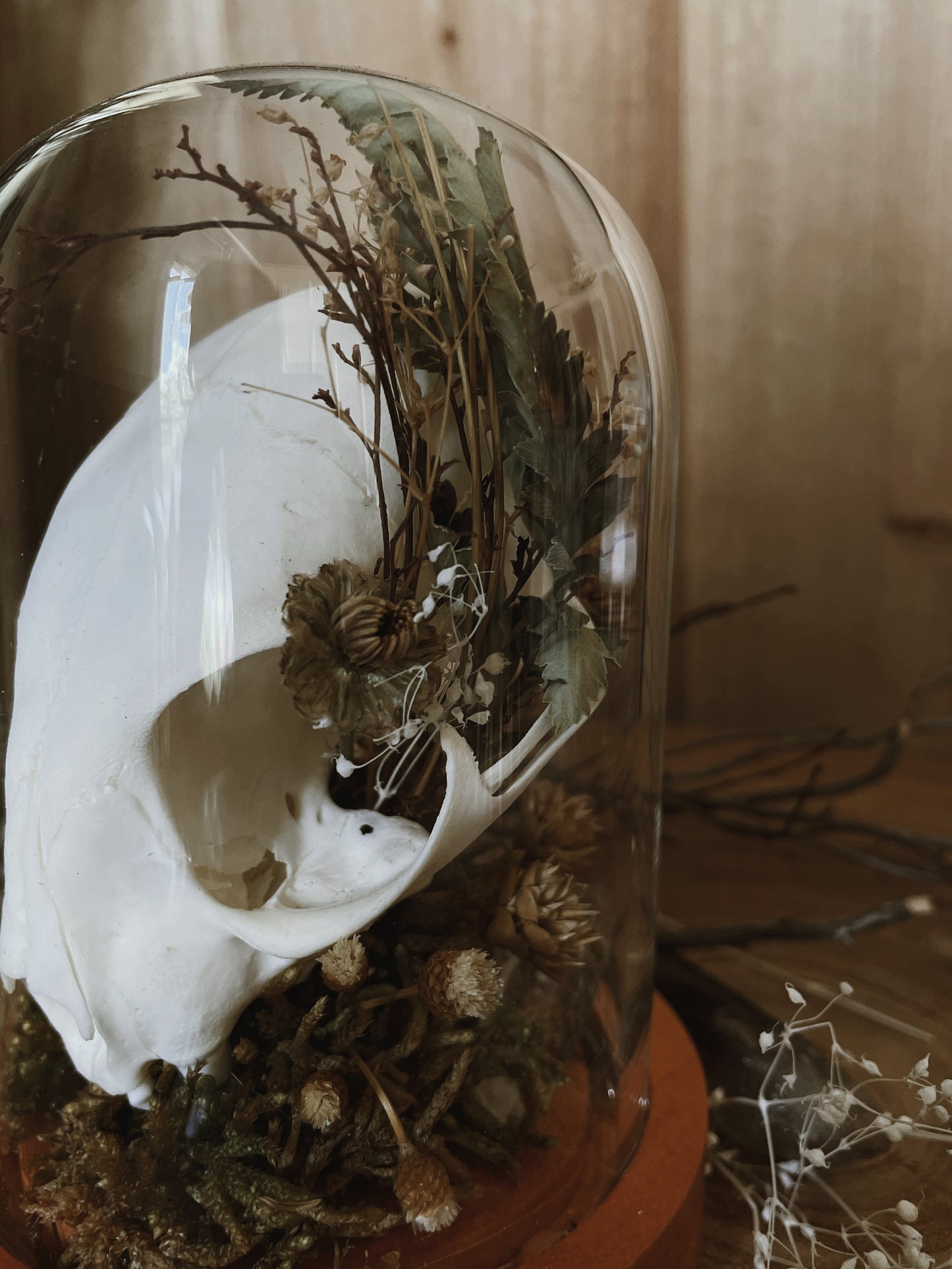 Bobcat Skull & Florals Cloche