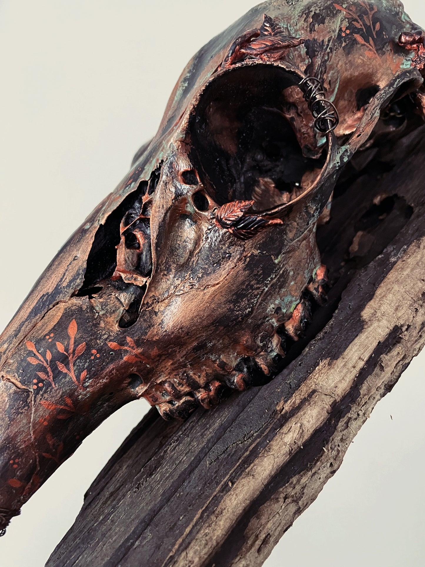 Forest Rust Deer Skull