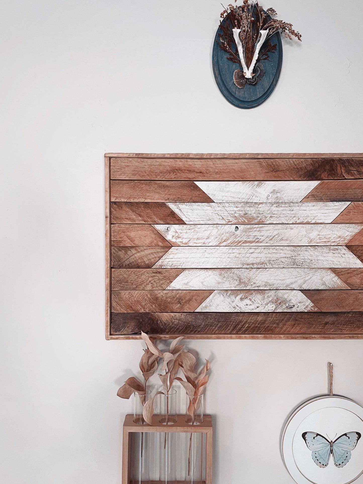 Opossum Jaw Wall Plaque