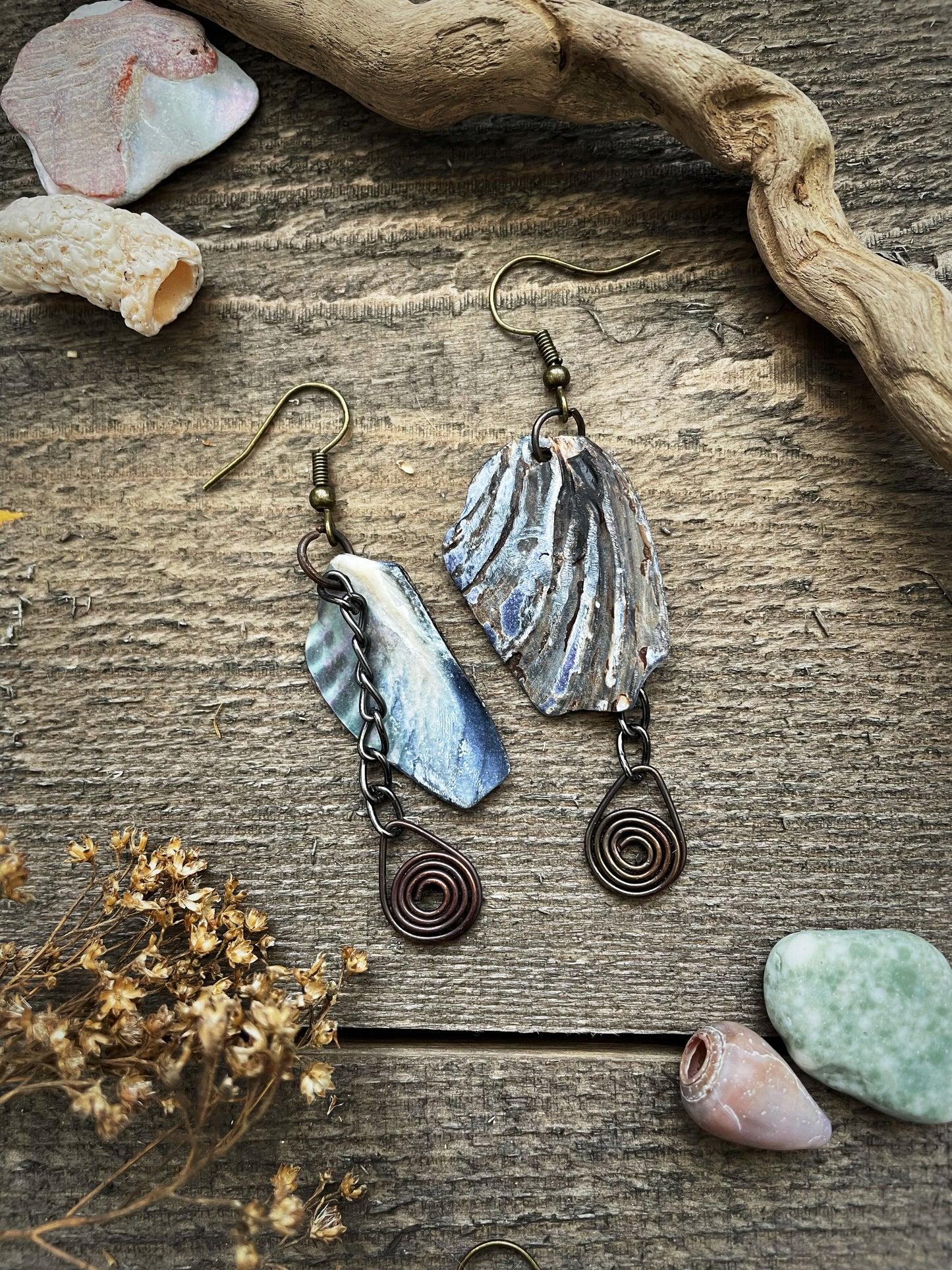 Pacific Shells & Metal Earrings