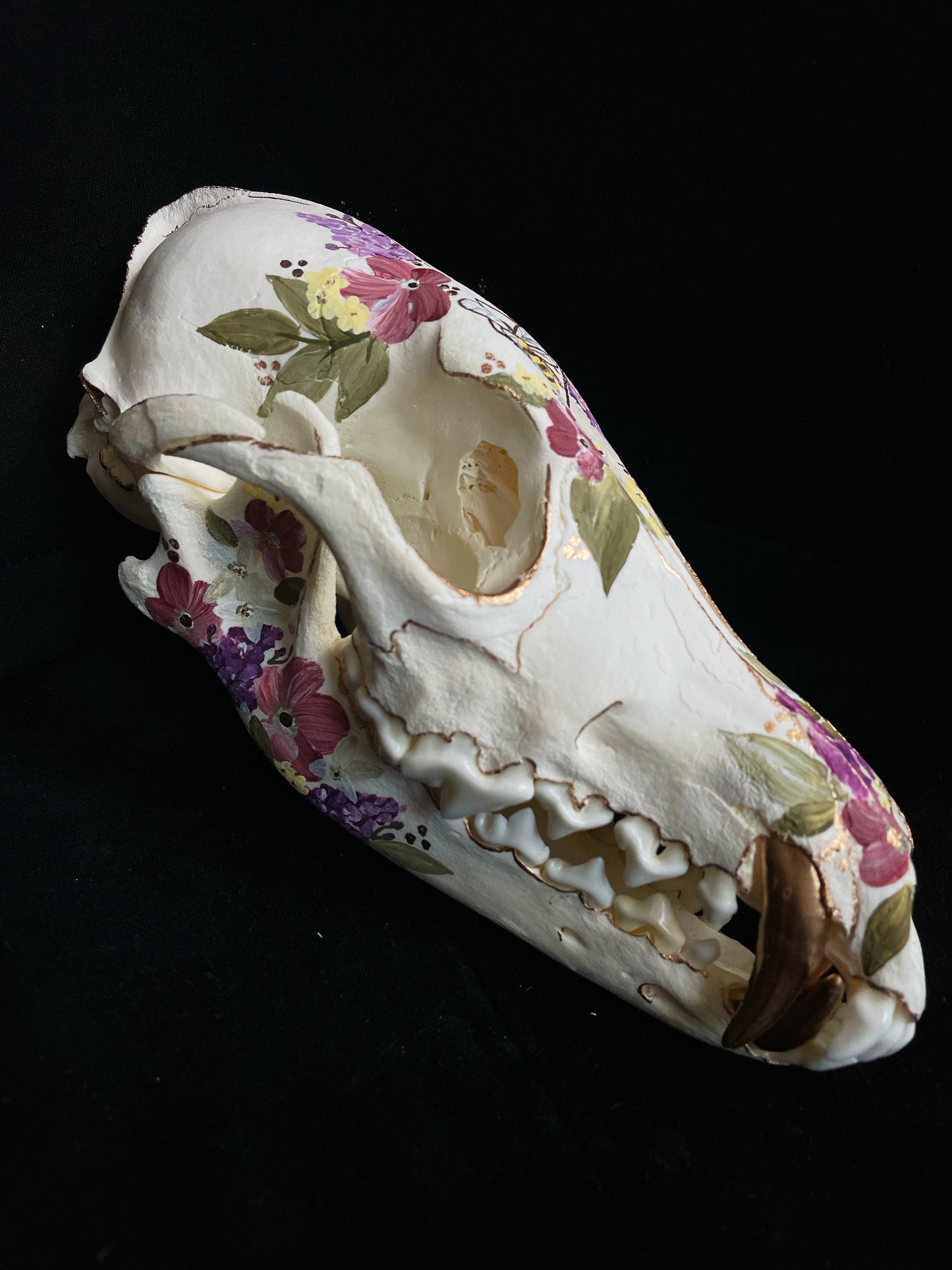 Honeyland Coyote Skull