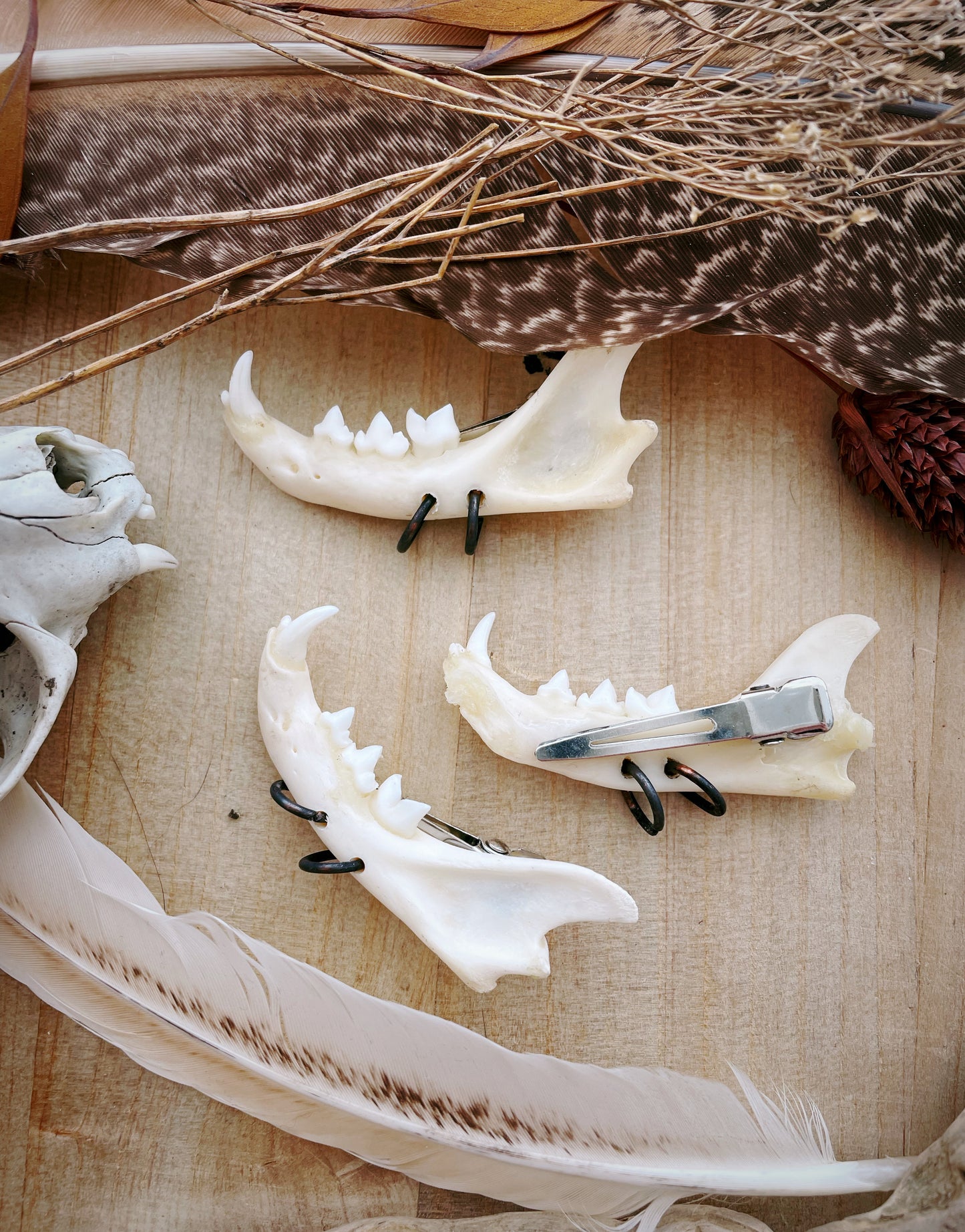 Jaw Hair Clips