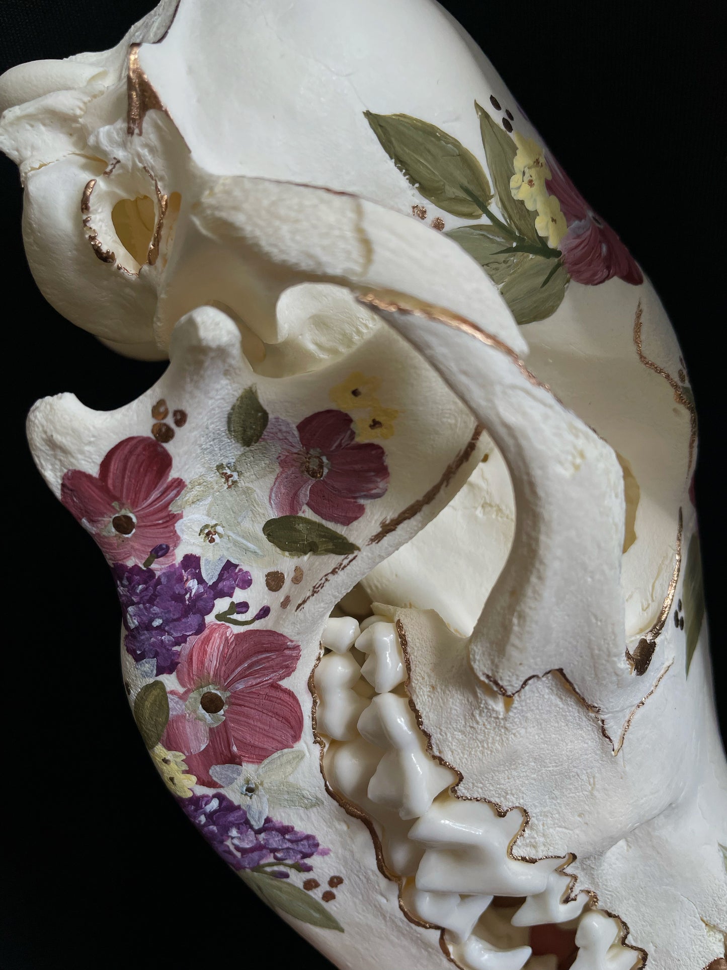 Honeyland Coyote Skull