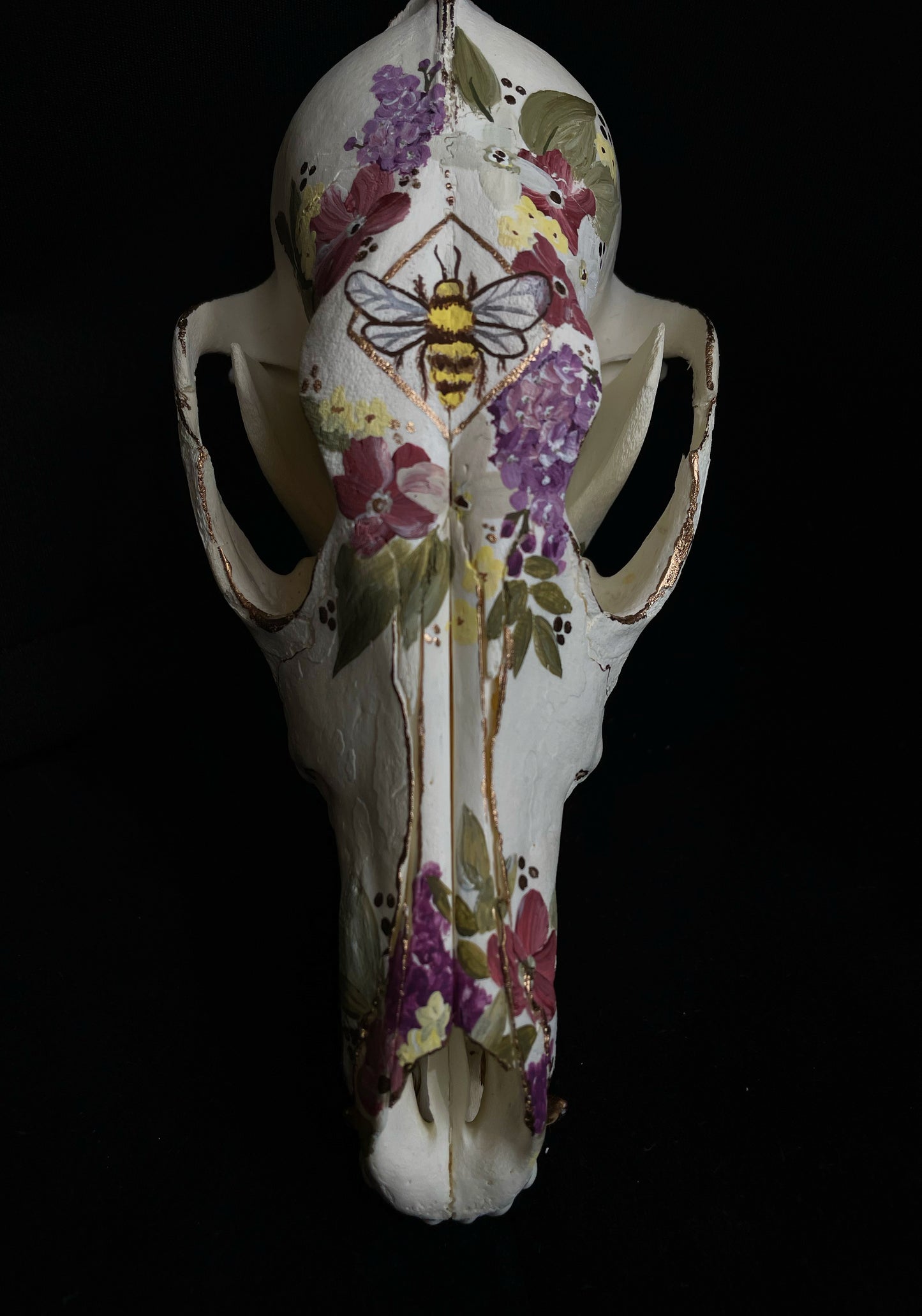 Honeyland Coyote Skull