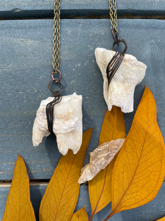 Horse Tooth Wrapped Necklaces