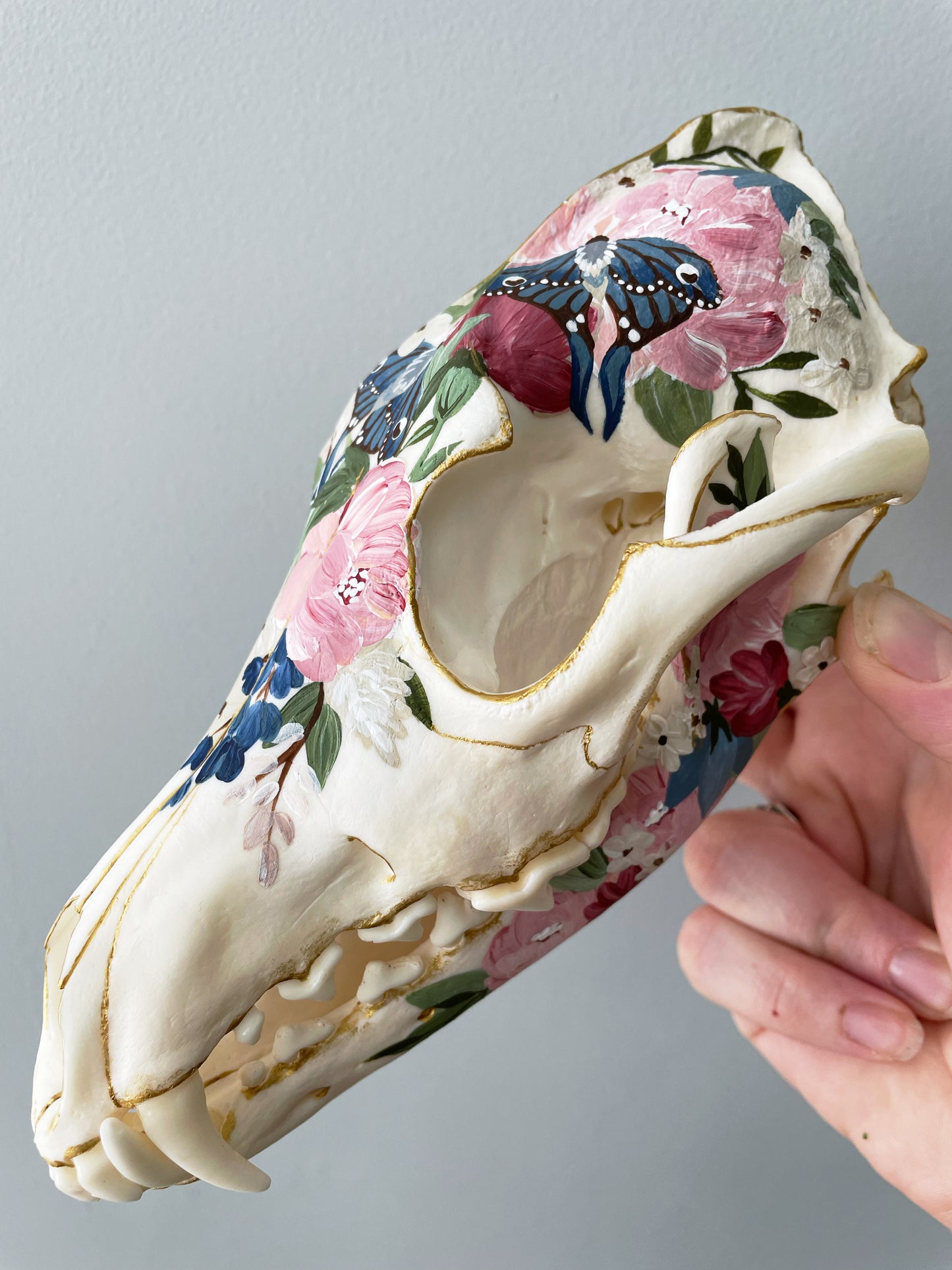 Floral Moths Coyote Skull