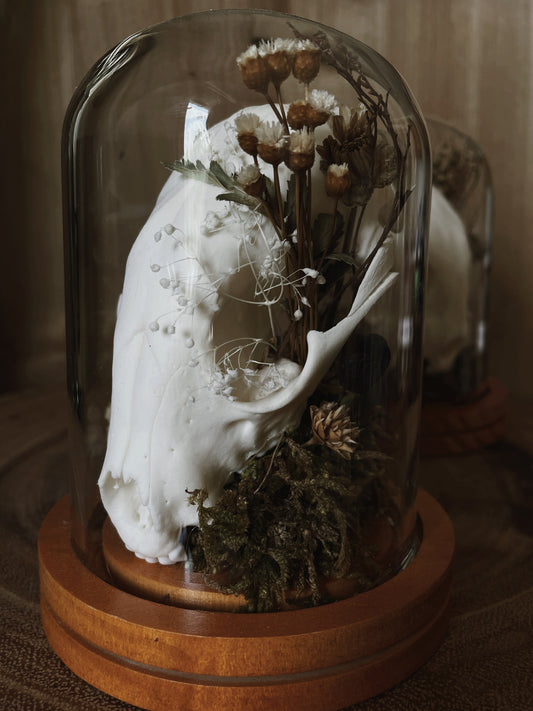Raccoon Skull & Florals Cloche