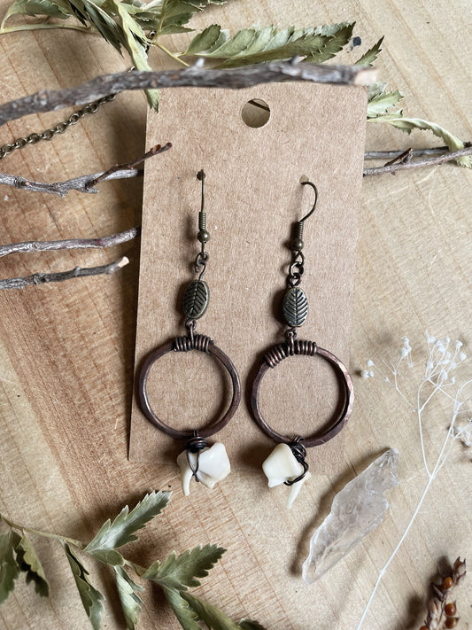 Coyote Molar Earrings