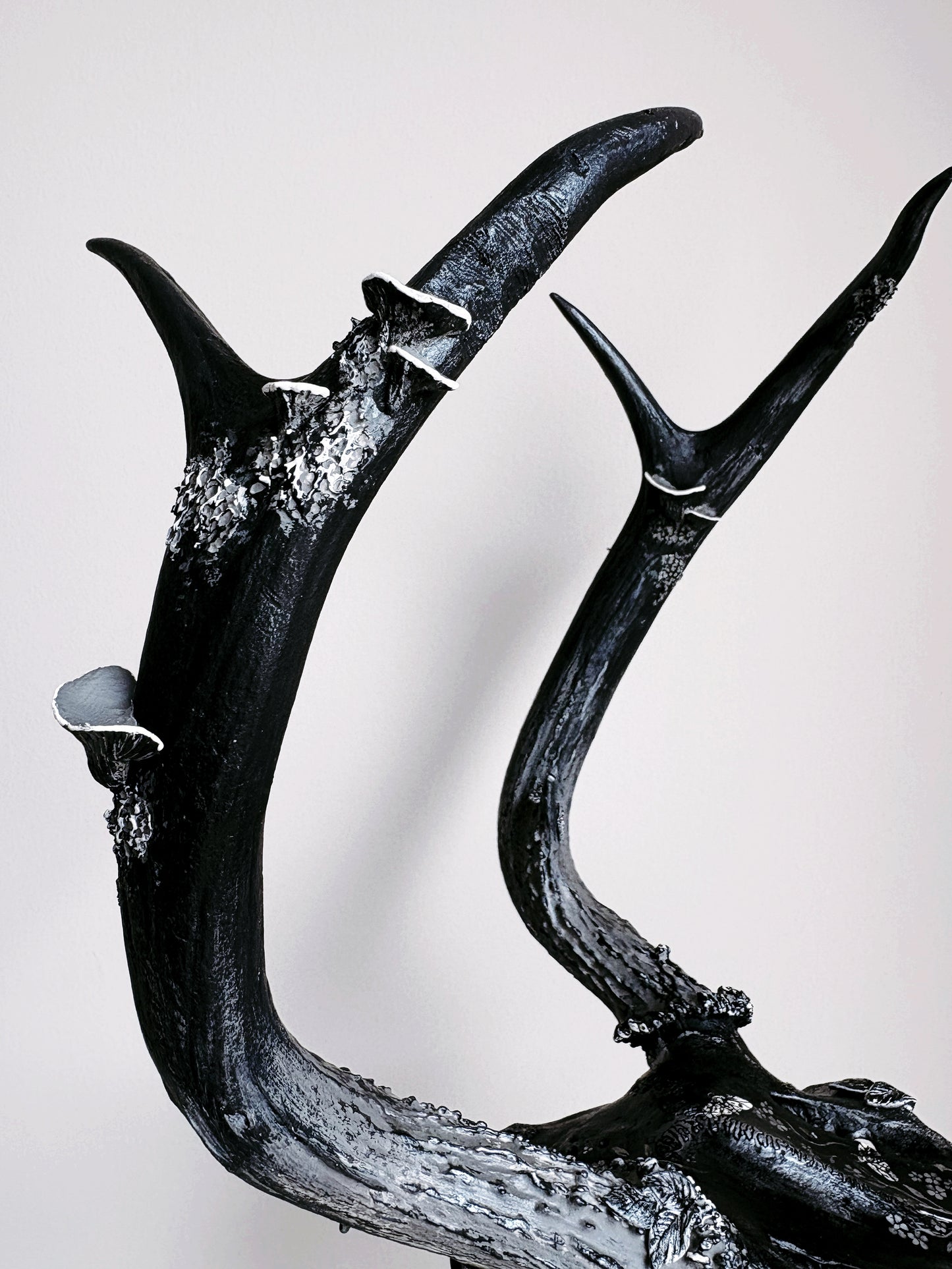 Moonlight Forest Deer Skull