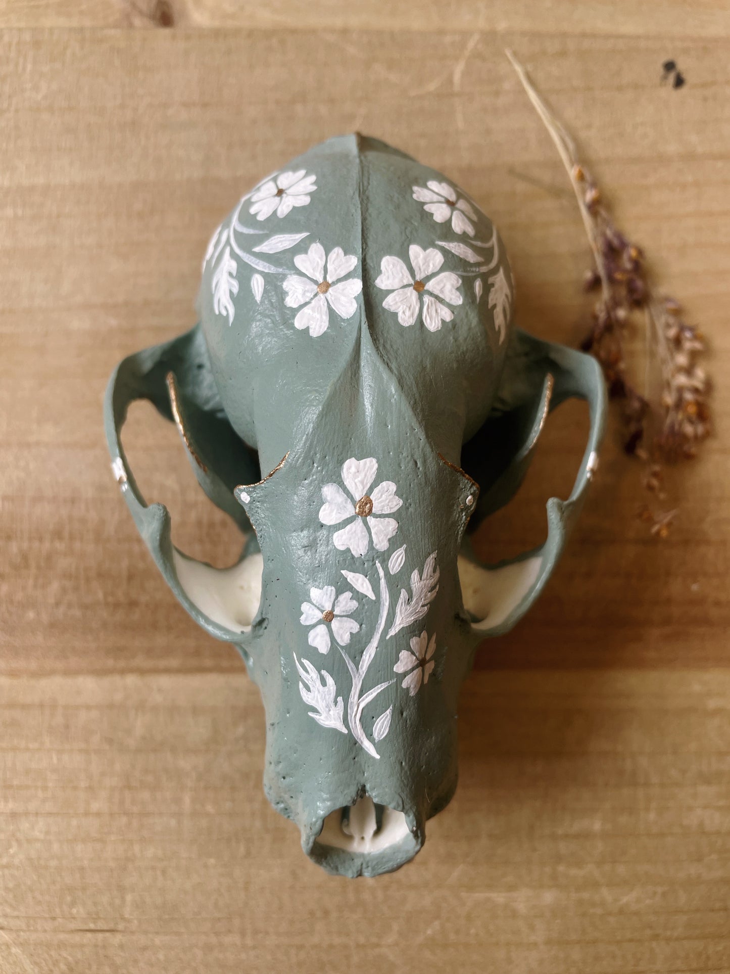Cornflower Blue Raccoon Skull