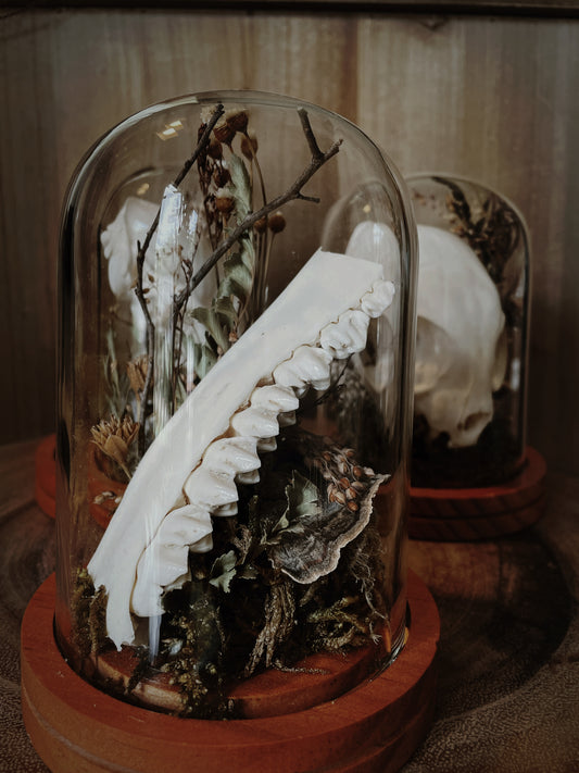 Jaw & Florals Cloche