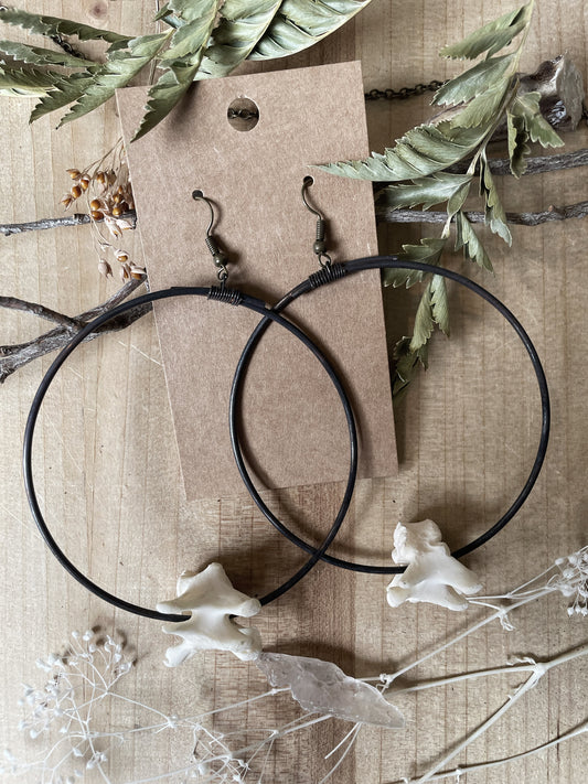 Vertebrae Hoops