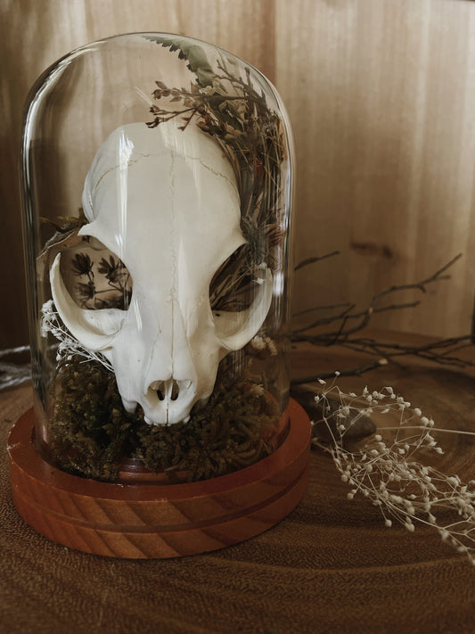 Bobcat Skull & Florals Cloche