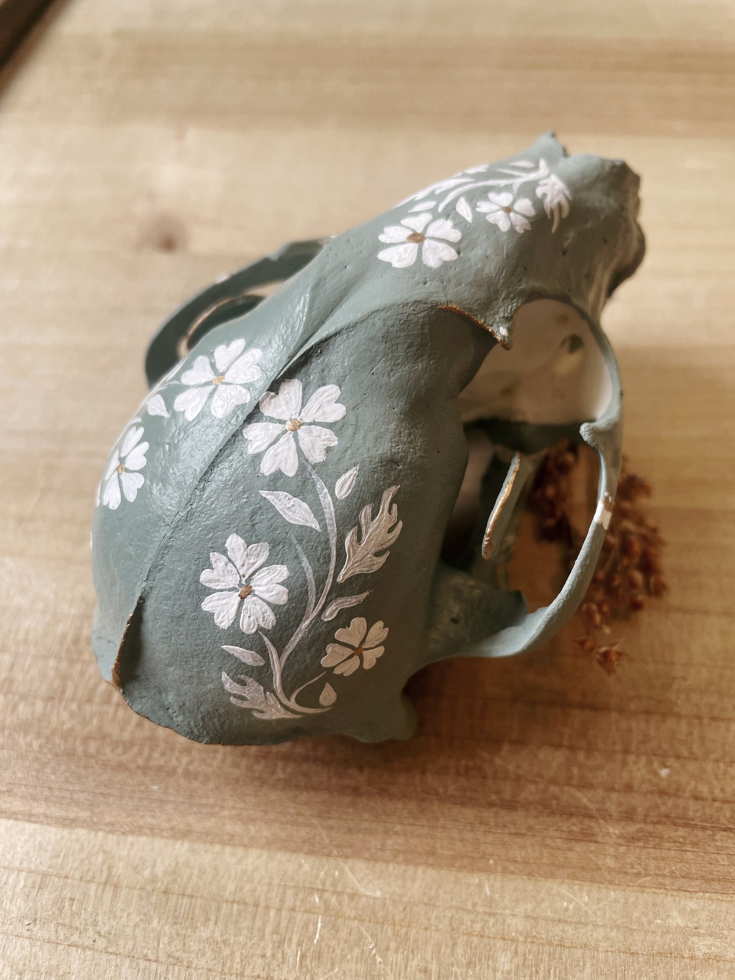 Cornflower Blue Raccoon Skull